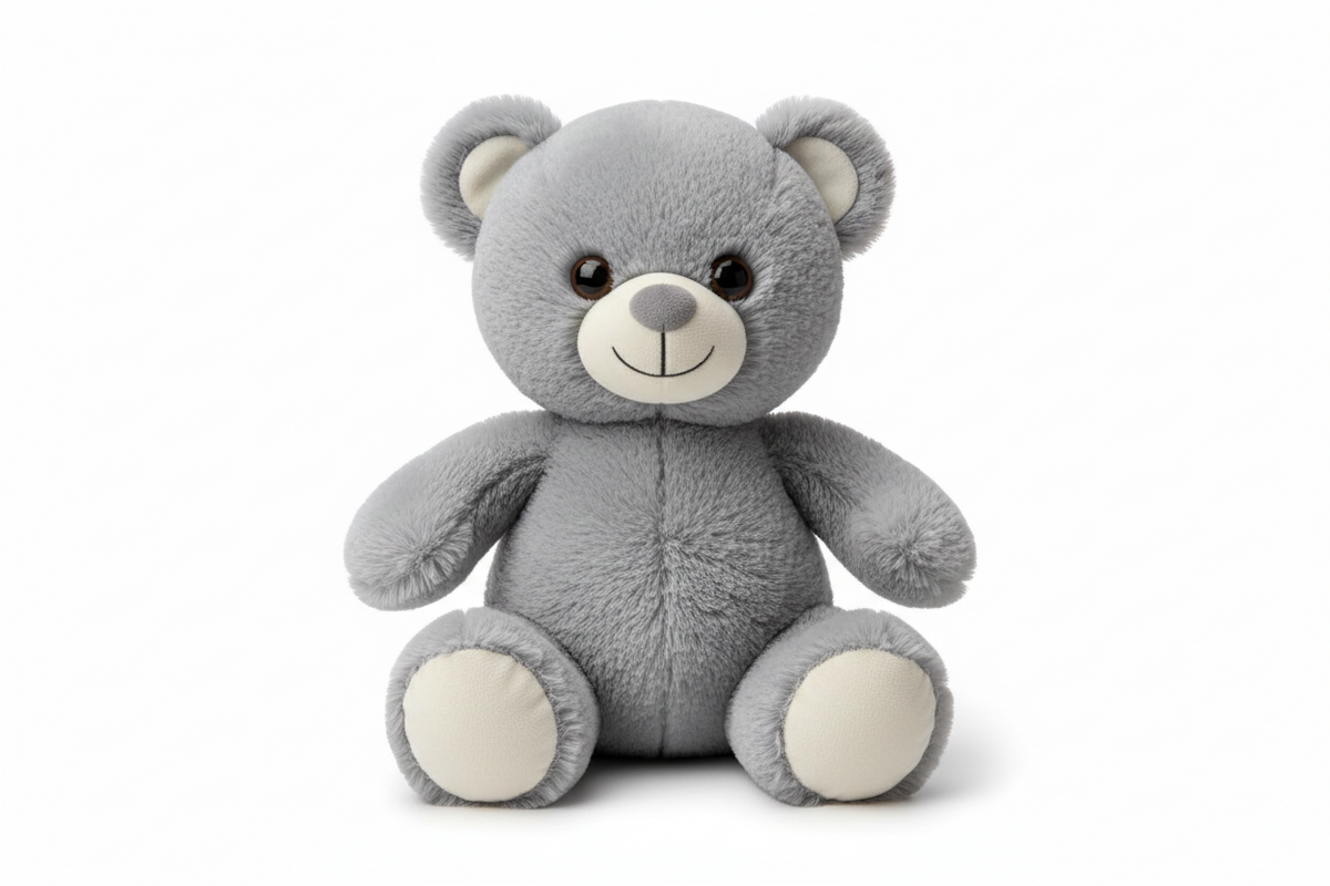 Teddy Bro