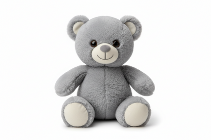 Teddy Bro